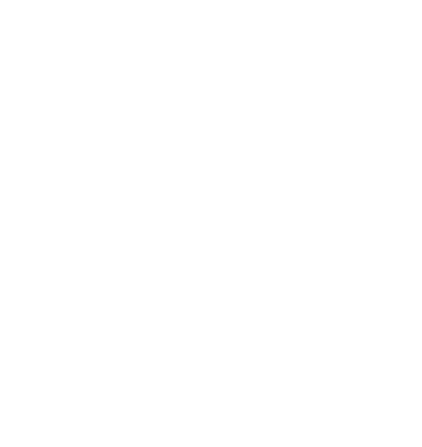 Free delivery Icon