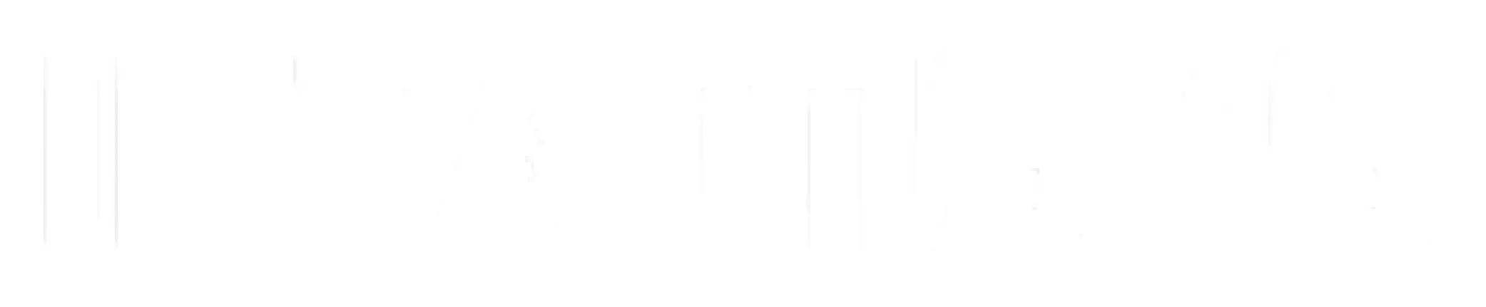 Intamsys